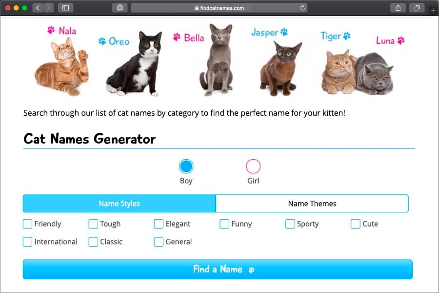 cat name search