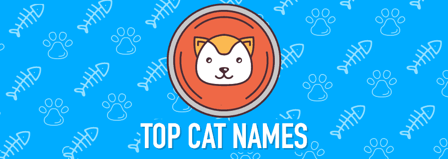 top cat names banner