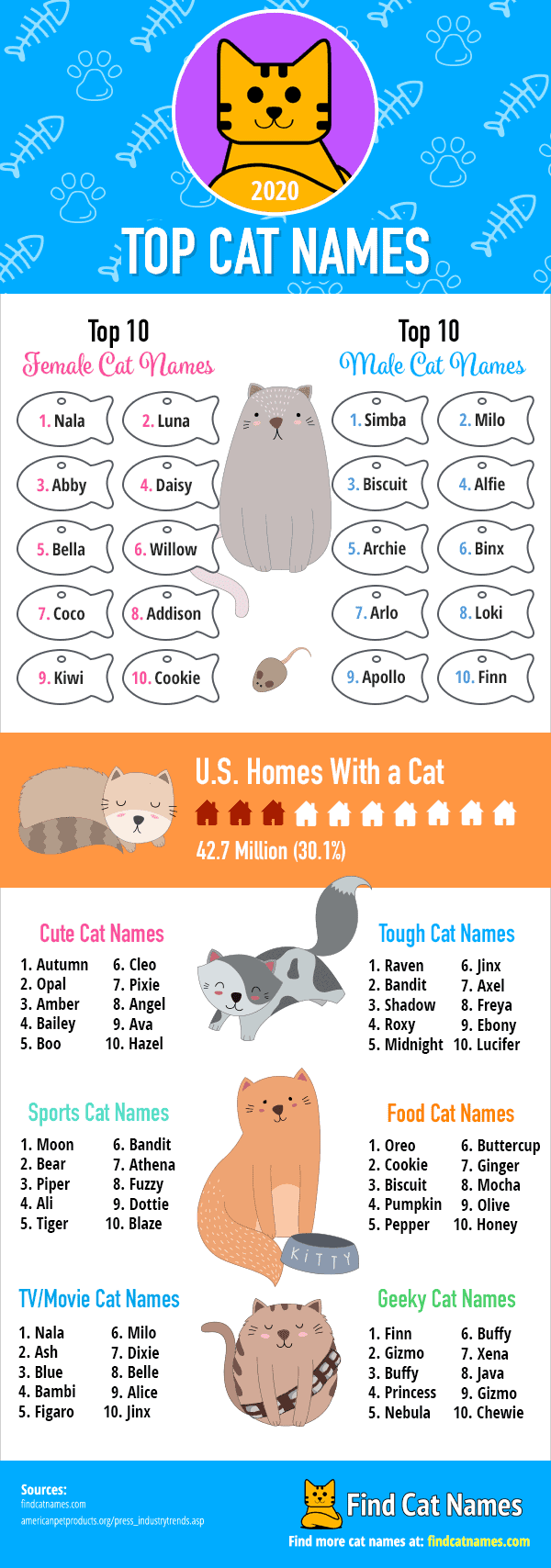 Top Cat Names Of 2020 Infographic Find Cat Names