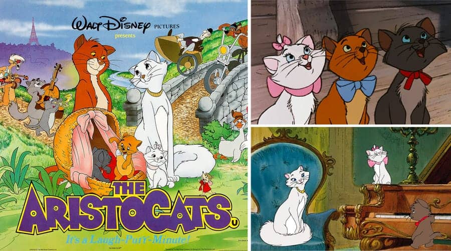 Aristocats Names - Perfect for Your Kitten