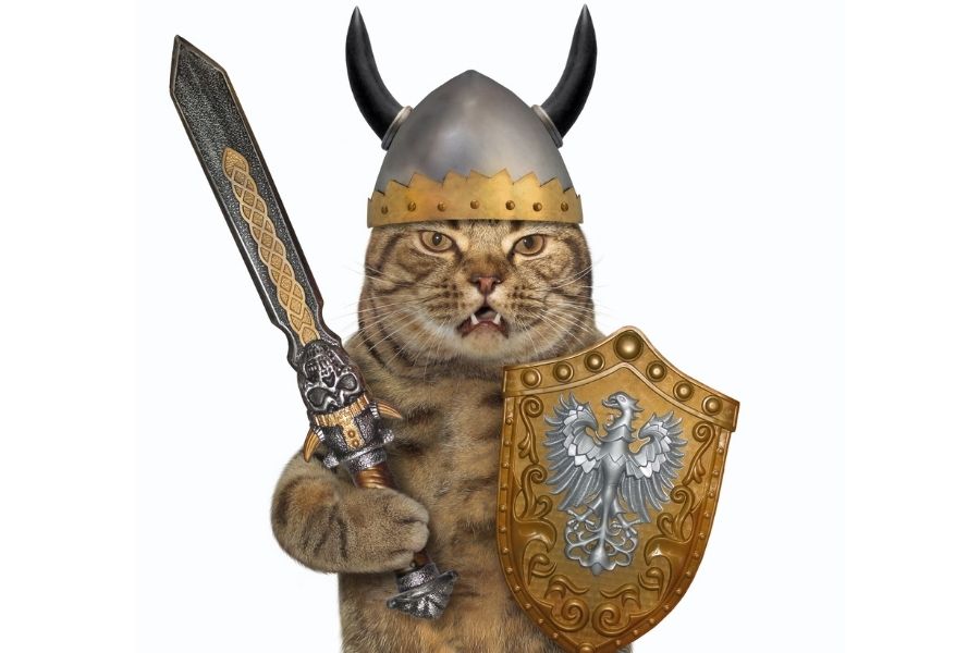 Viking cat names